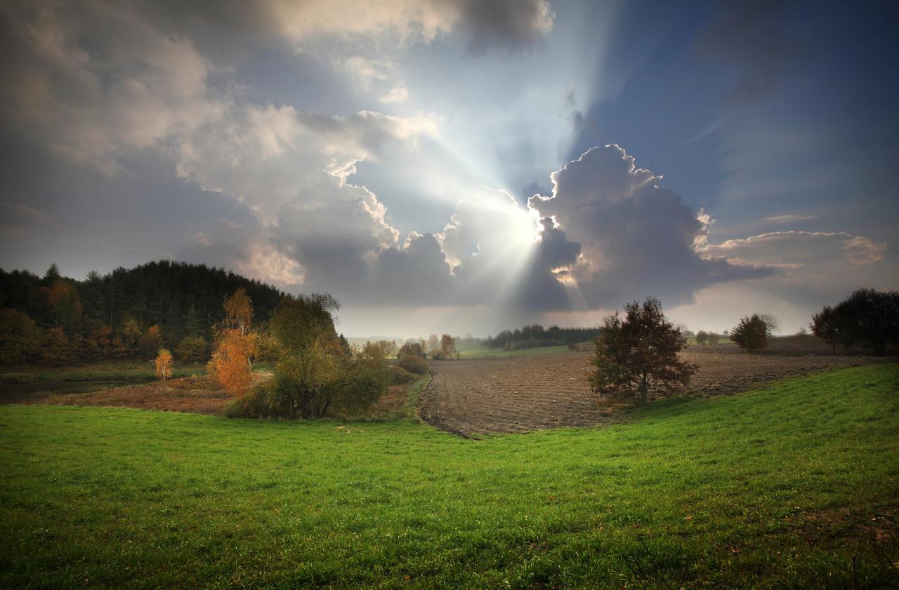 Palac I Folwark Nemino Sierakowice  ภายนอก รูปภาพ